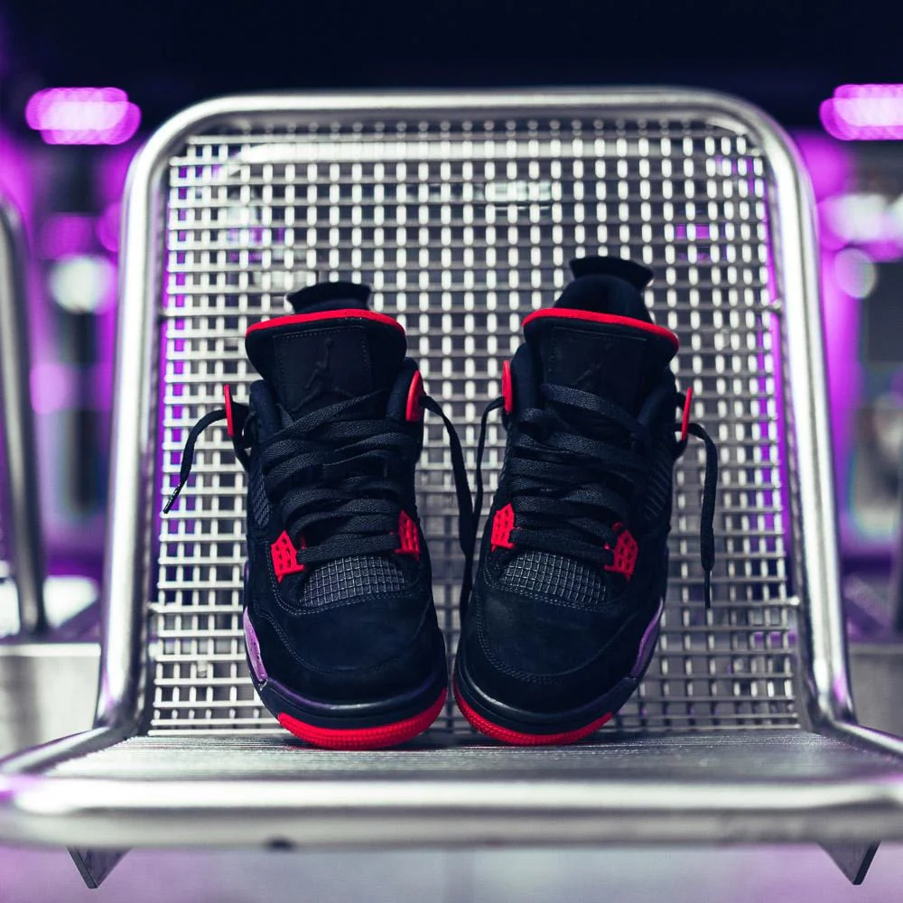 Air Jordan 4 Raptors - Image 2