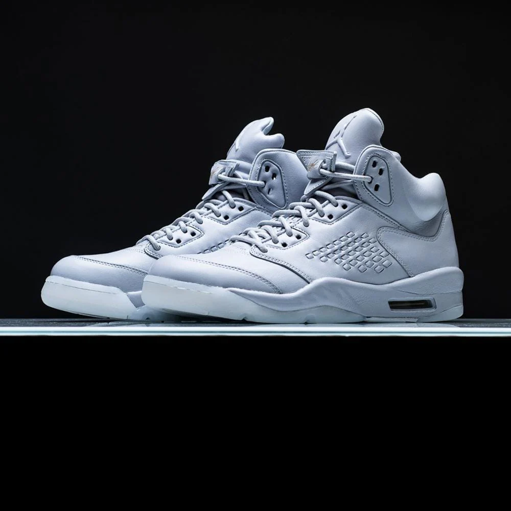 Air Jordan 5 Premium Pure Platinum - Image 6