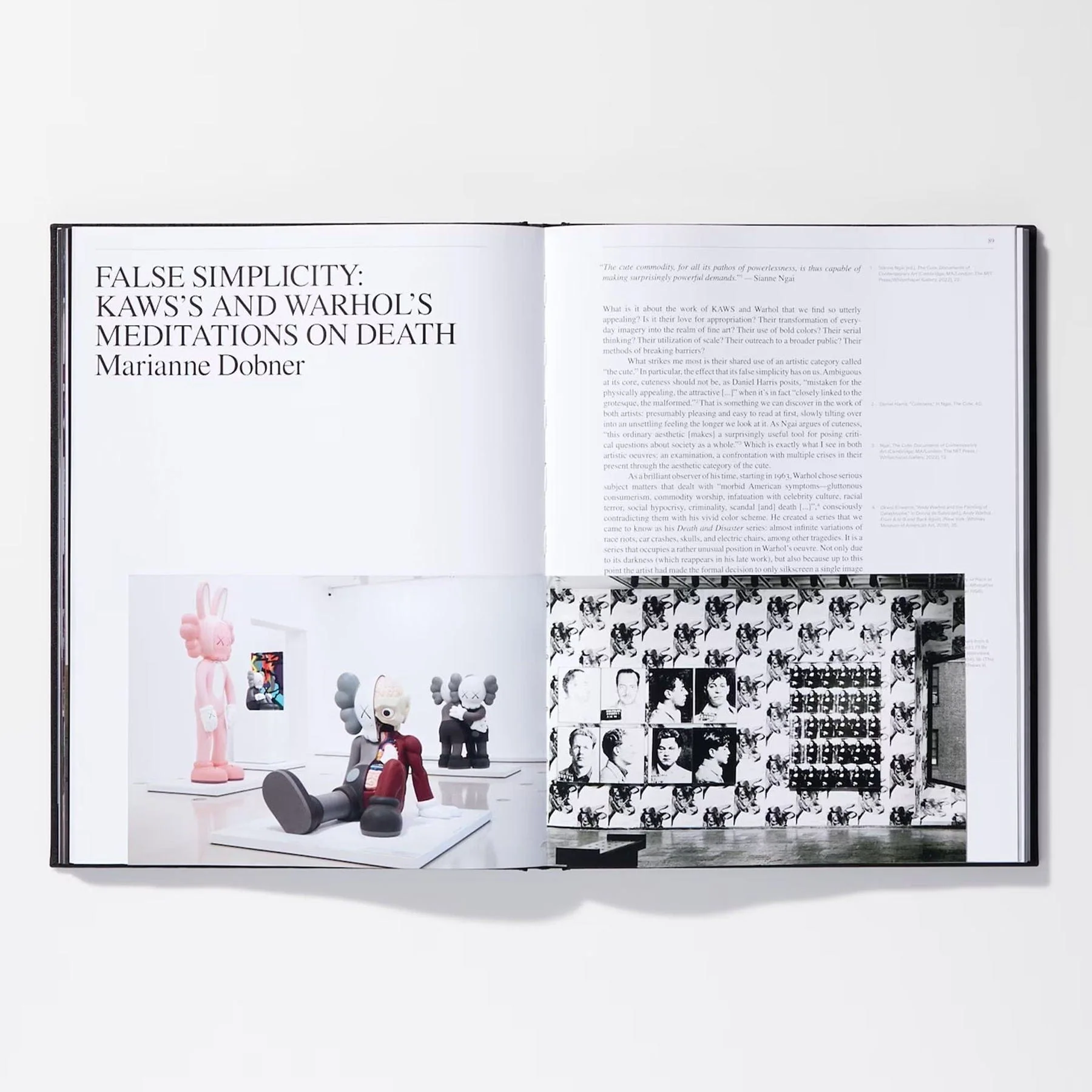 KAWS X Warhol Art Book - Image 2