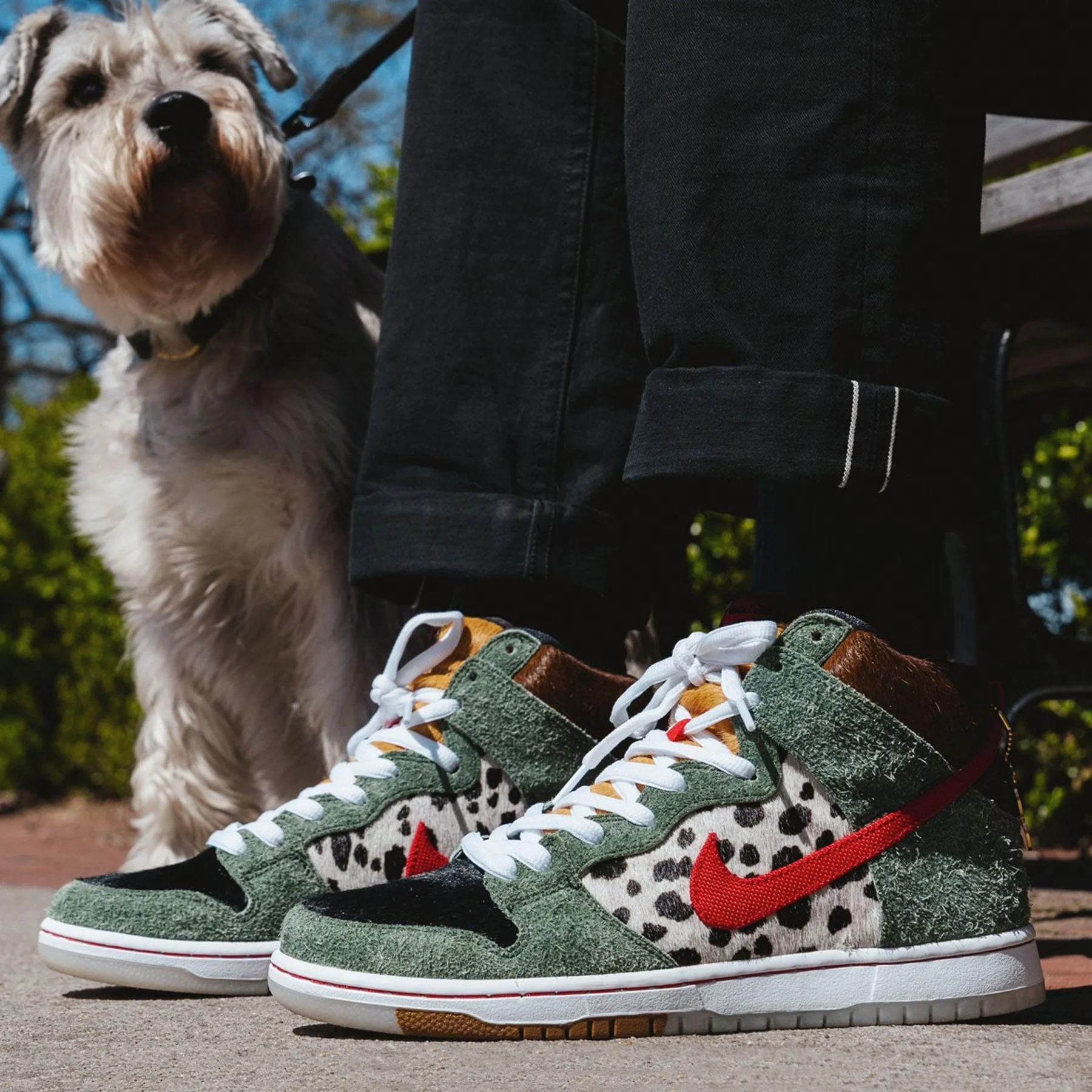 Nike Dunk High SB 'Walk The Dog' - Image 6