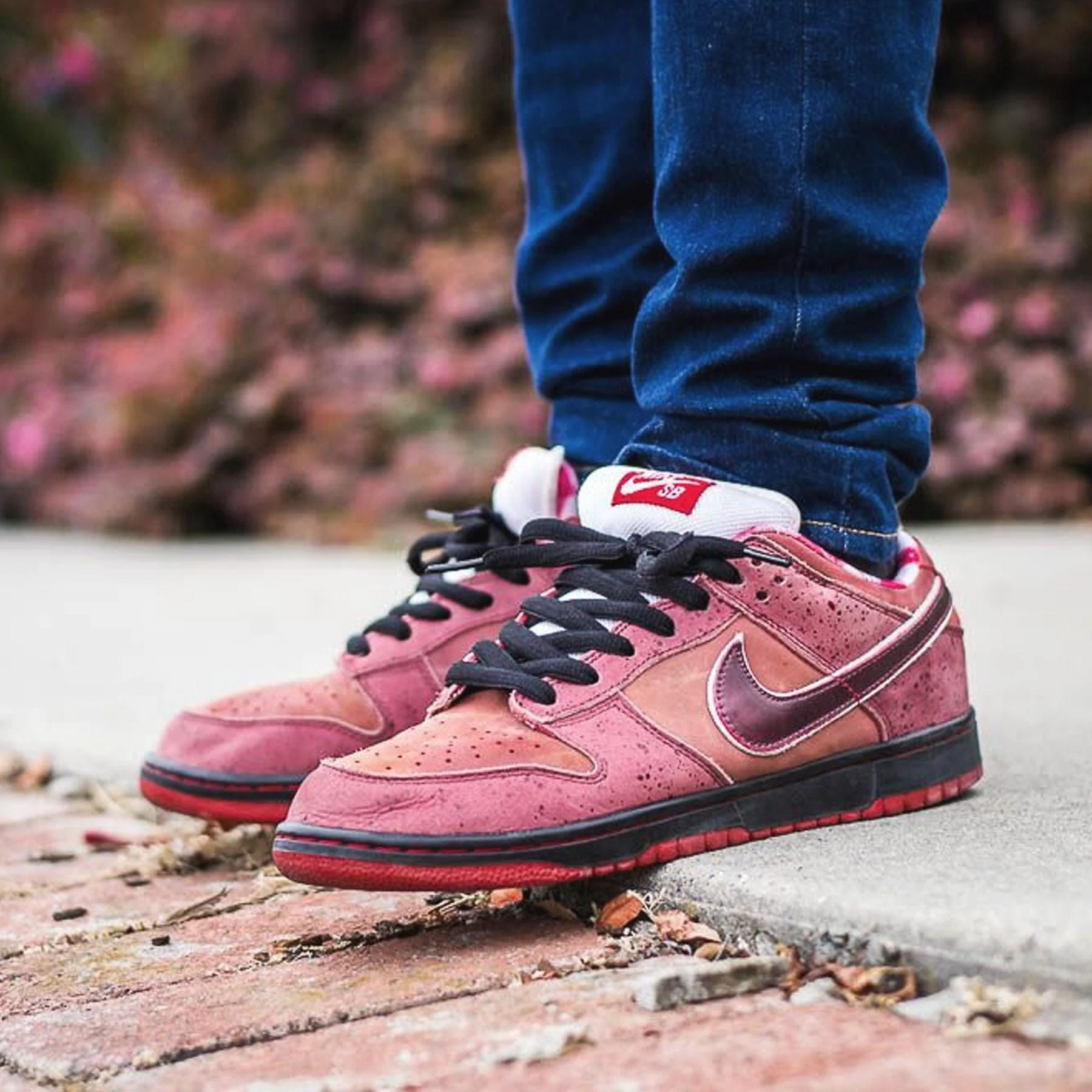 Nike Dunk Low Premium SB 'Lobster' - Image 7
