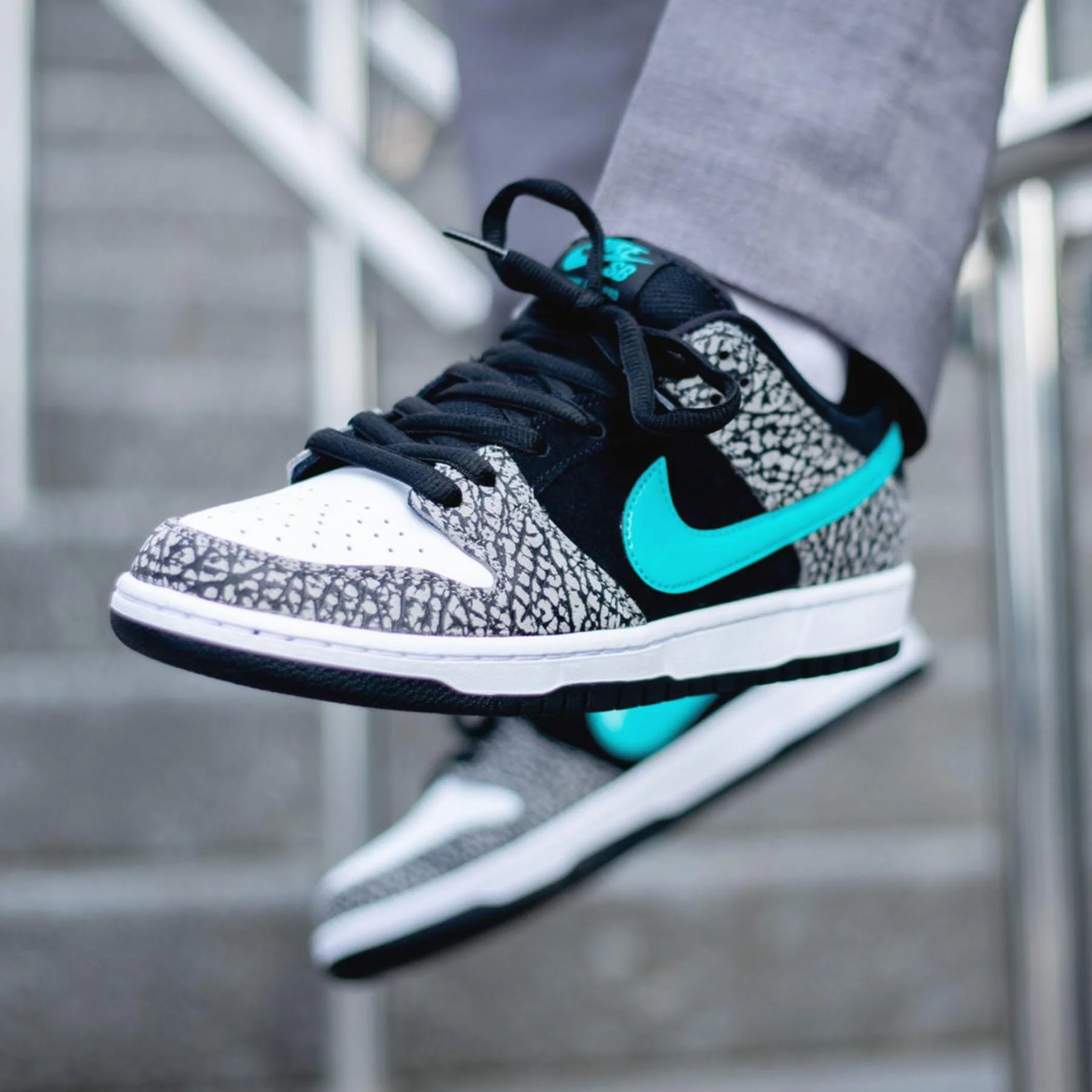 Nike Dunk Low Pro SB 'Atmos Elephant' - Image 7