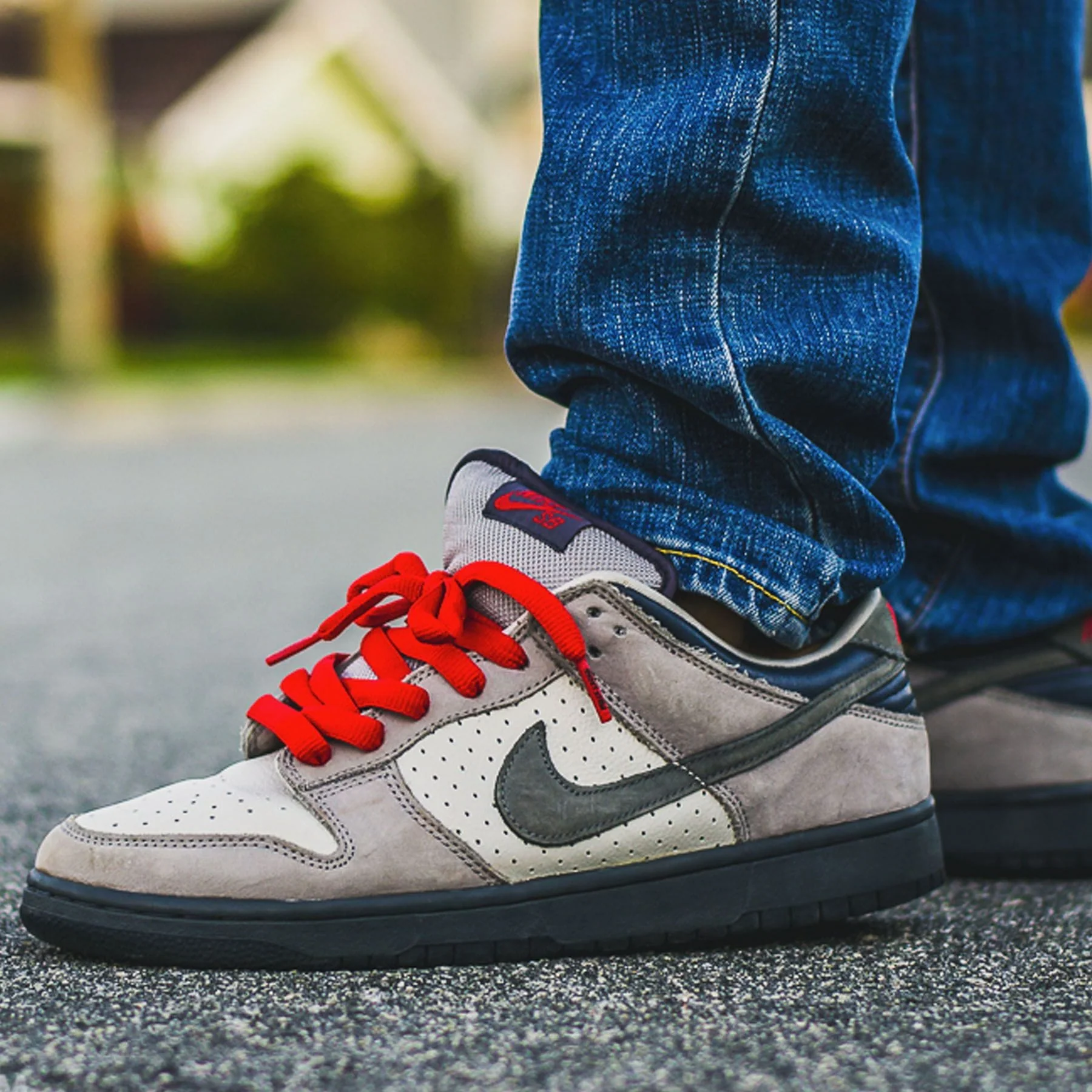 Nike Dunk Low Pro SB 'Band Aid' - Image 6