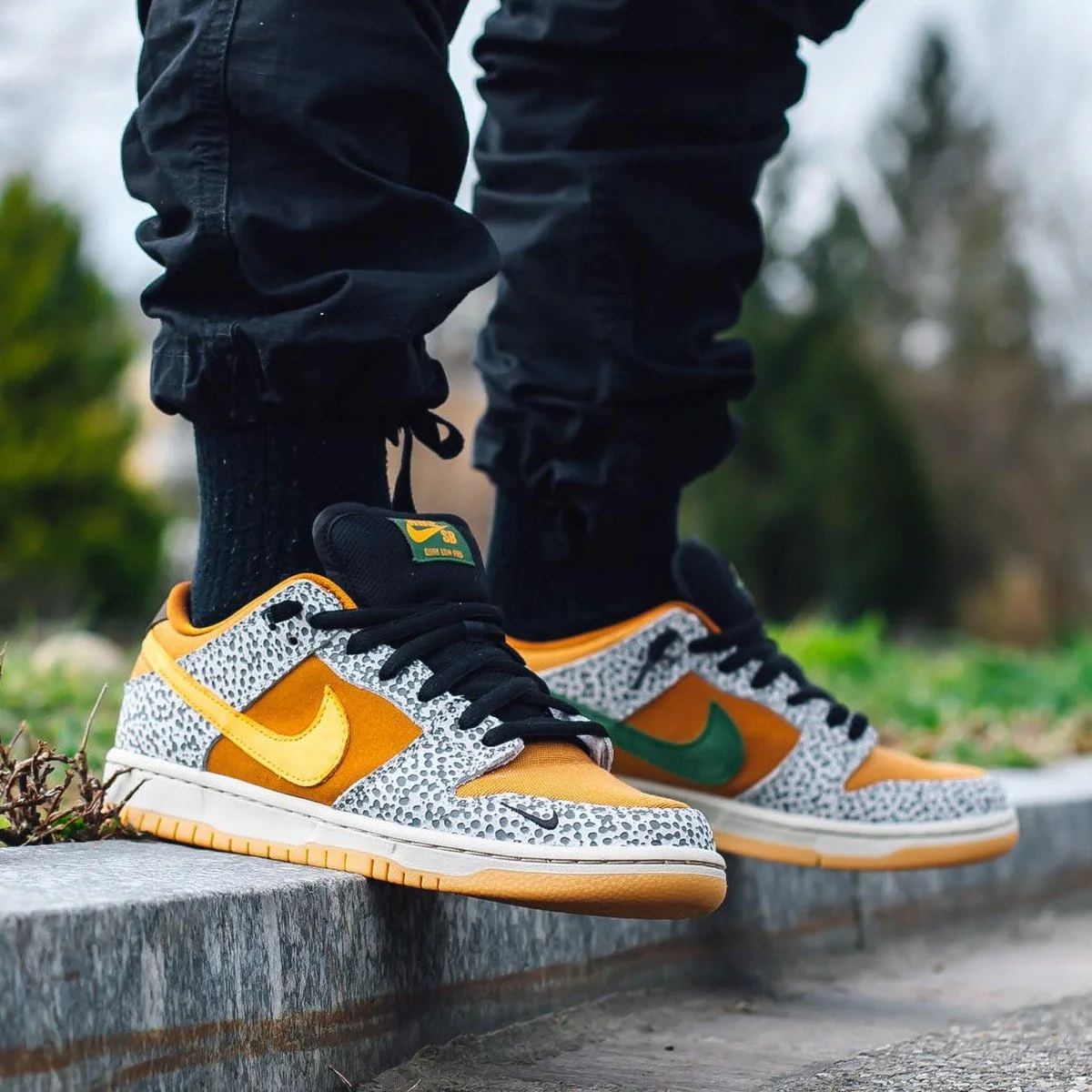 Nike Dunk Low Pro SB 'Safari' - Image 6