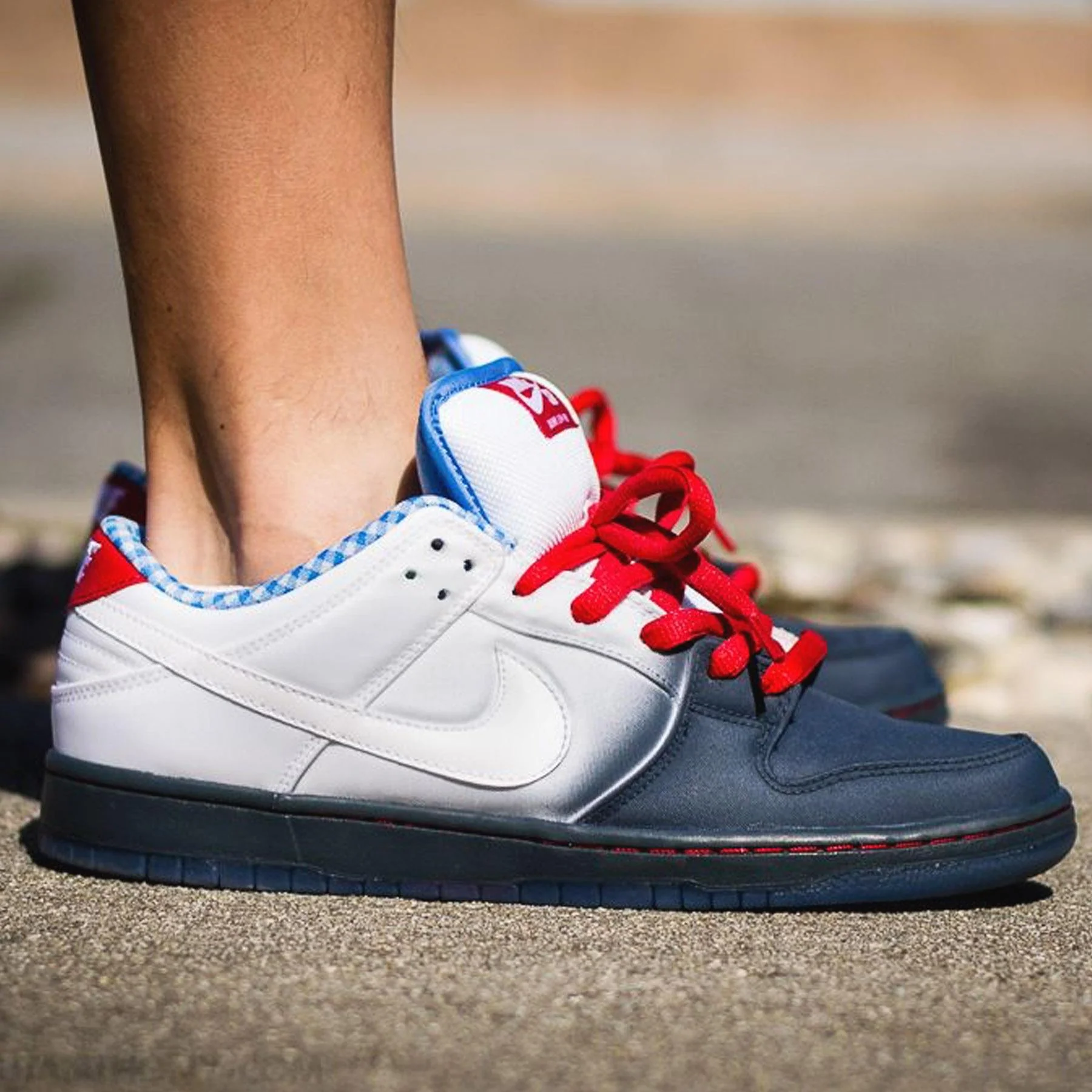 Nike Dunk Low Premium SB 'Dorothy' - Image 6